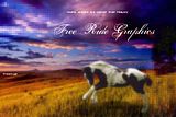 FreeRideGraphics.jpg image by Freeridepics